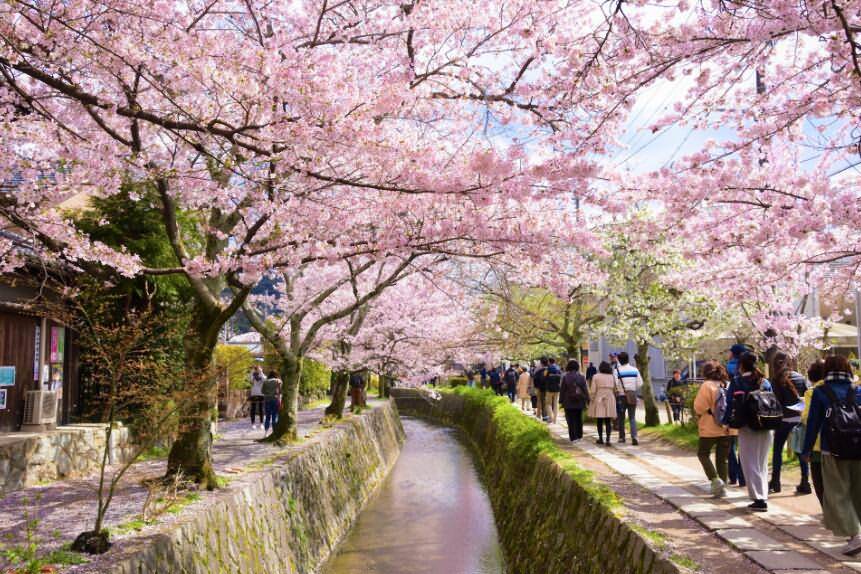 6 Days Japan UNESCO Tours Tokyo Mt.Fuji Hakone Kyoto Nara Osaka