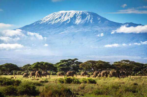 13 days Arusha Tarangire National Park Serengeti National Park Ngorongoro Zanzibar-tour