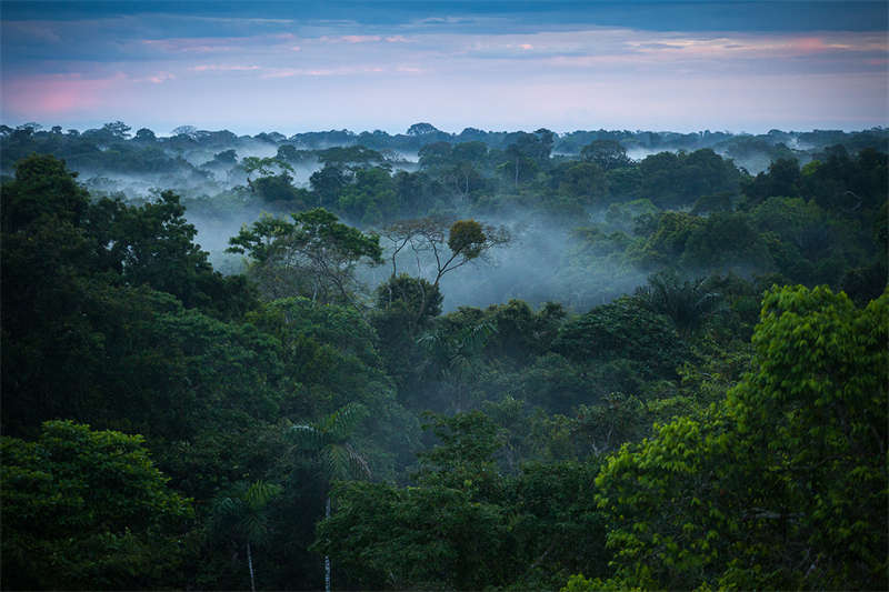 4 days Iquitos Nauta tour