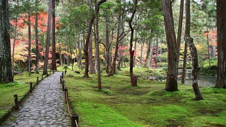 Saihoji Temple (Kyoto)