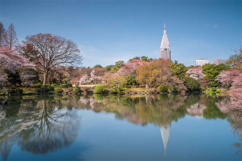 Shinjuku Gyoen