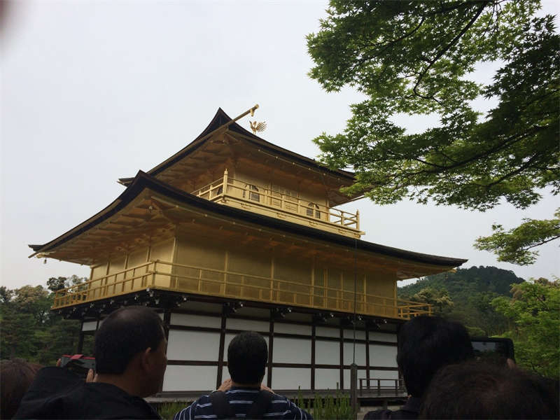Kyoto and Nara coach tour