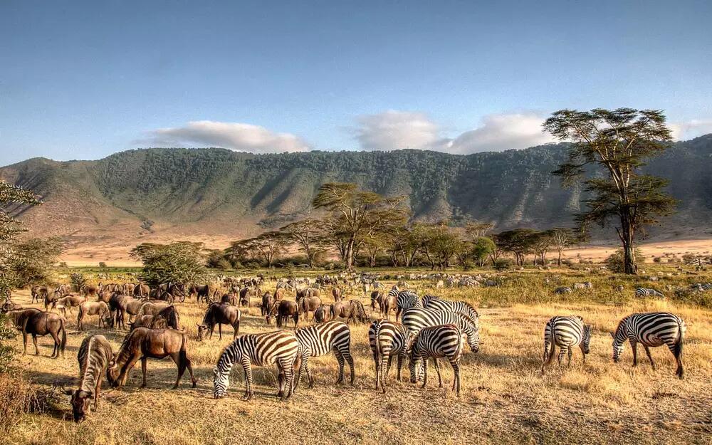 9 days Addis Ababa Kilimanjaro Arusha Ngorongoro Serengeti tour