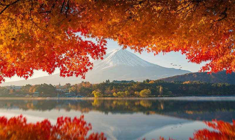 Mt. Fuji: Nov 1-Nov 14