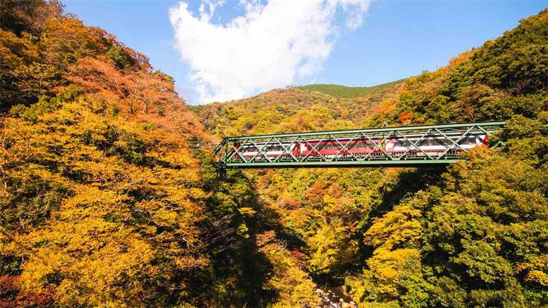 Hakone: Nov 7-Nov 18