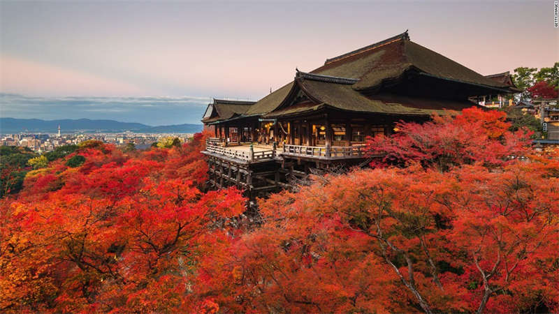Kyoto: Nov 18-28