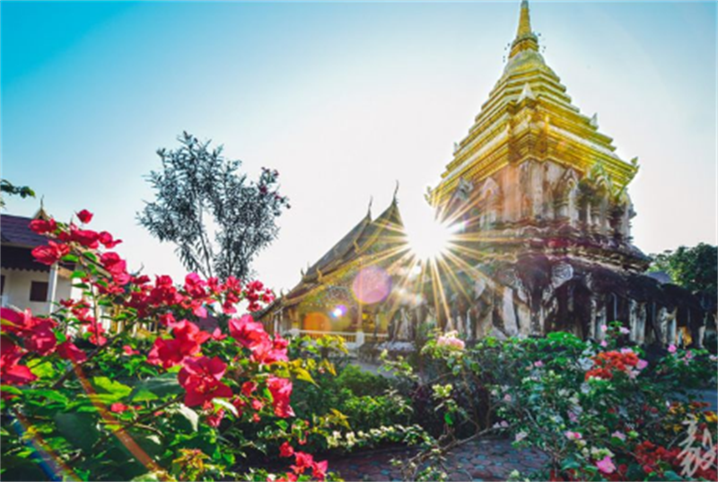 7 Days Thailand Bangkok Ayutthaya Chiang Mai Tour