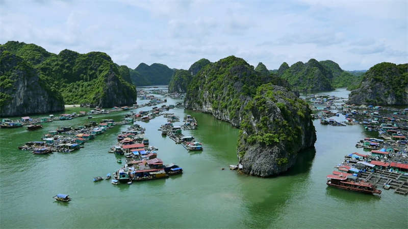 11 Days Hanoi-Ninh Binh-Cat Ba-Halong Bay-Hue-Danang-Hoian-Ho Chi Minh-Can Tho Tour